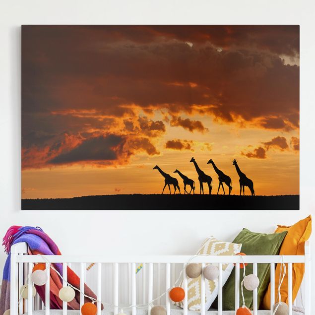 Wandbilder XXL Fünf Giraffen