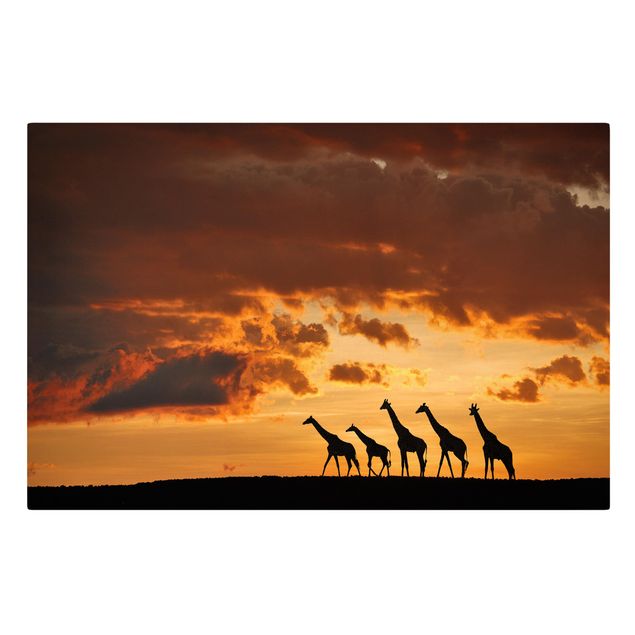 Wandbilder Tiere Fünf Giraffen