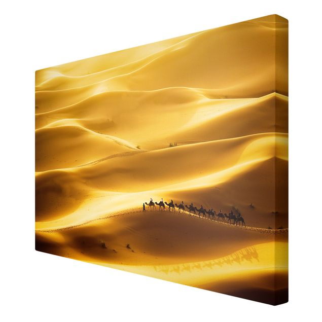 Schöne Leinwandbilder Golden Dunes