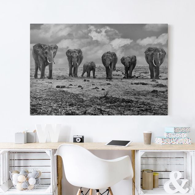 Leinwandbilder Elefanten Großfamilie