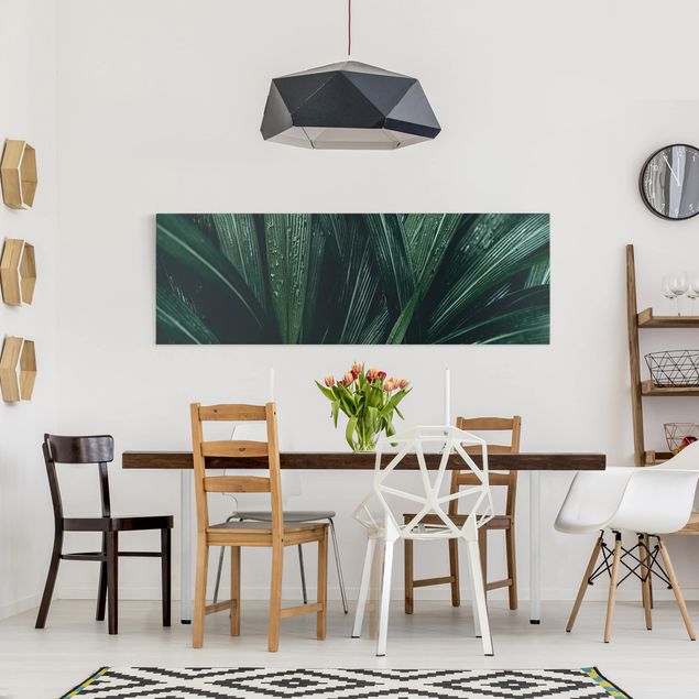 Leinwandbilder Wohnzimmer modern Grüne Palmenblätter