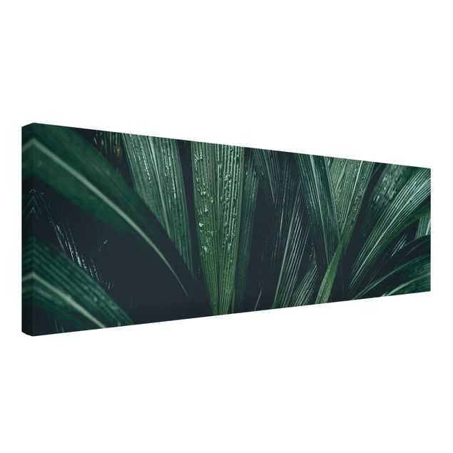Schöne Wandbilder Grüne Palmenblätter