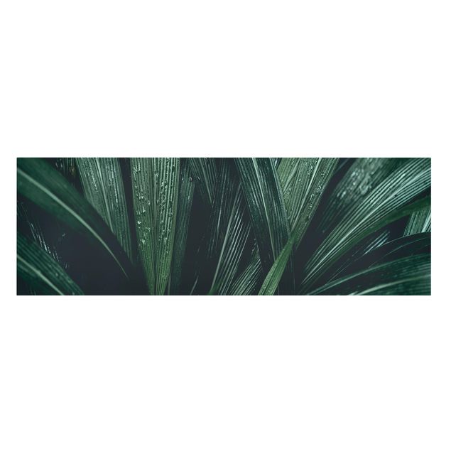 Bilder auf Leinwand Grüne Palmenblätter