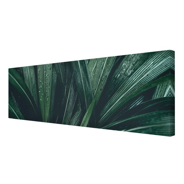 Leinwandbild - Grüne Palmenblätter - Panorama 1:3