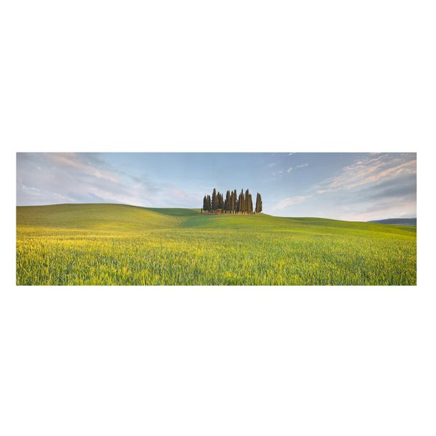 Leinwandbilder Grünes Feld in Toskana