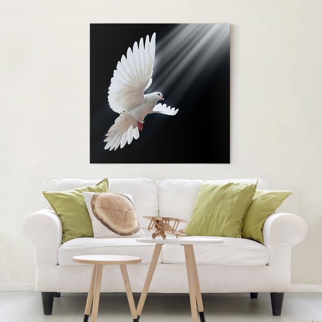 Wandbilder Tiere Holy Dove