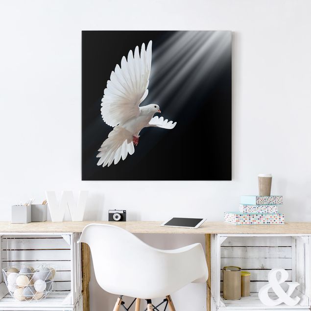 Leinwand Schwarz-Weiß Holy Dove