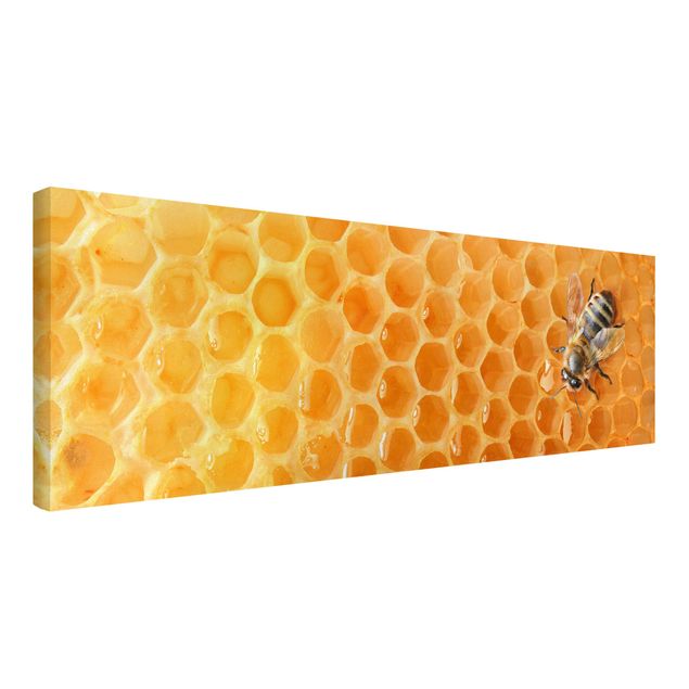 Wandbilder Wohnzimmer modern Honey Bee