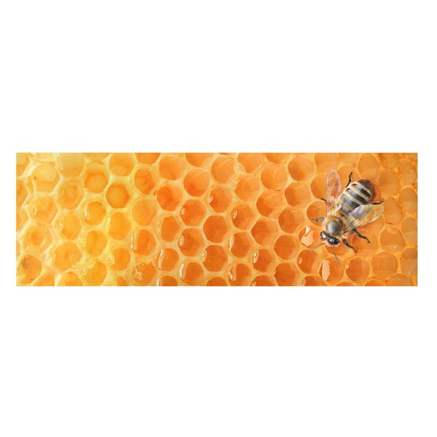 Wandbilder Honey Bee