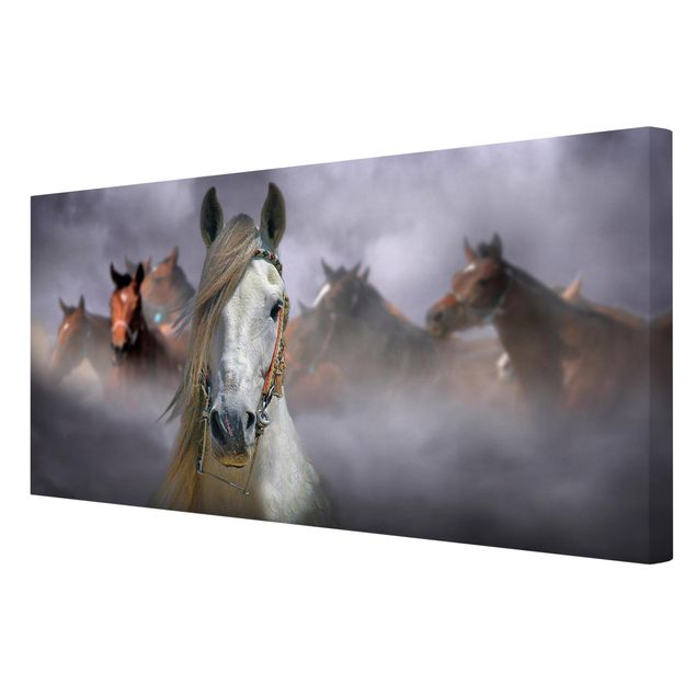 Wandbilder Horses in the Dust