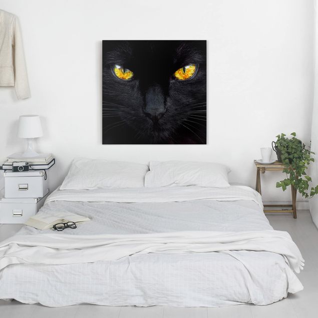 Wandbilder Katzen Hypnotischer Blick
