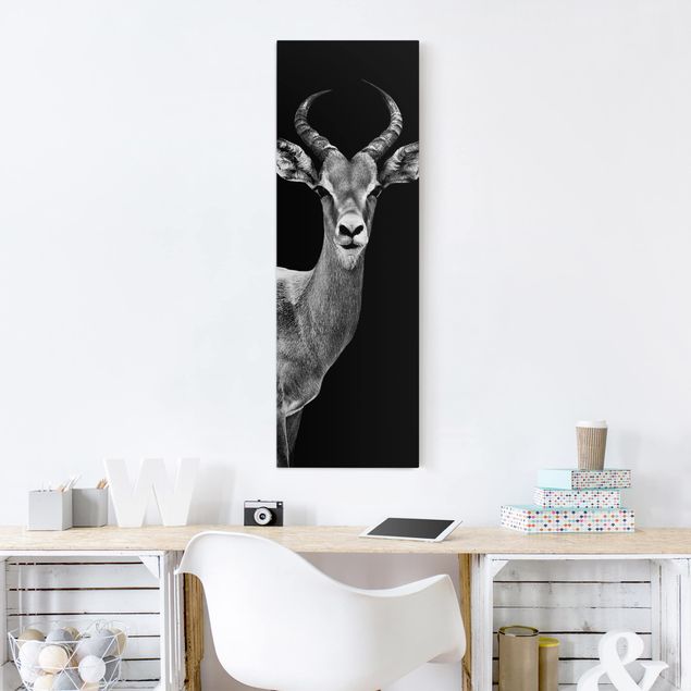 Wandbilder Tiere Impala Antilope schwarz-weiß