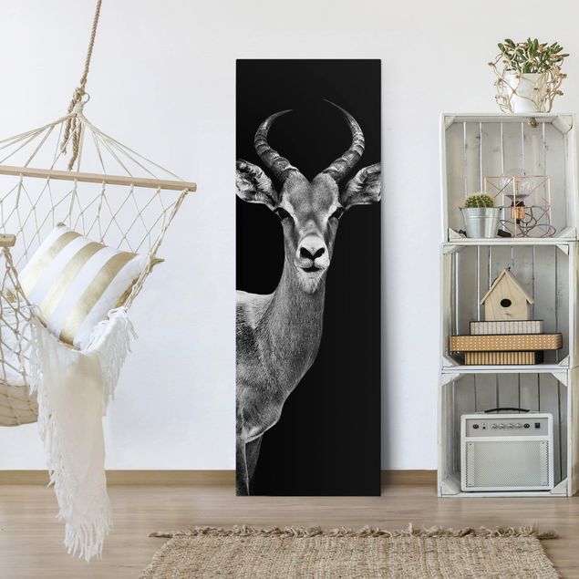 Wandbilder Schwarz-Weiß Impala Antilope schwarz-weiß
