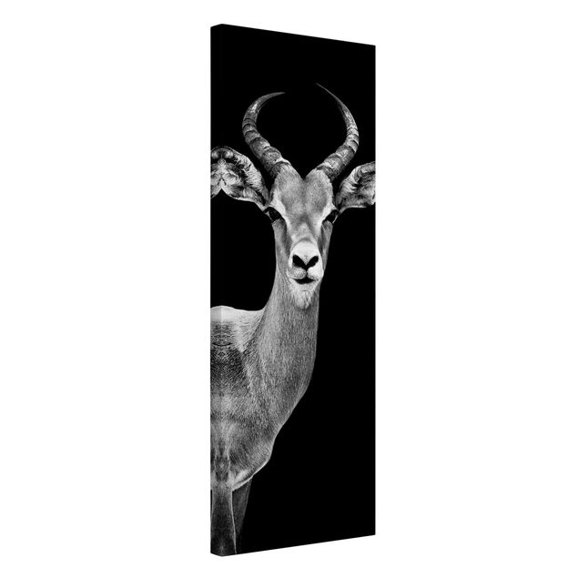 Leinwand Kunstdruck Impala Antilope schwarz-weiß