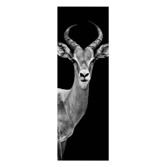 Leinwandbilder Tier Impala Antilope schwarz-weiß