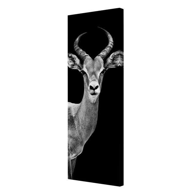 Leinwandbilder Wohnzimmer modern Impala Antilope schwarz-weiß
