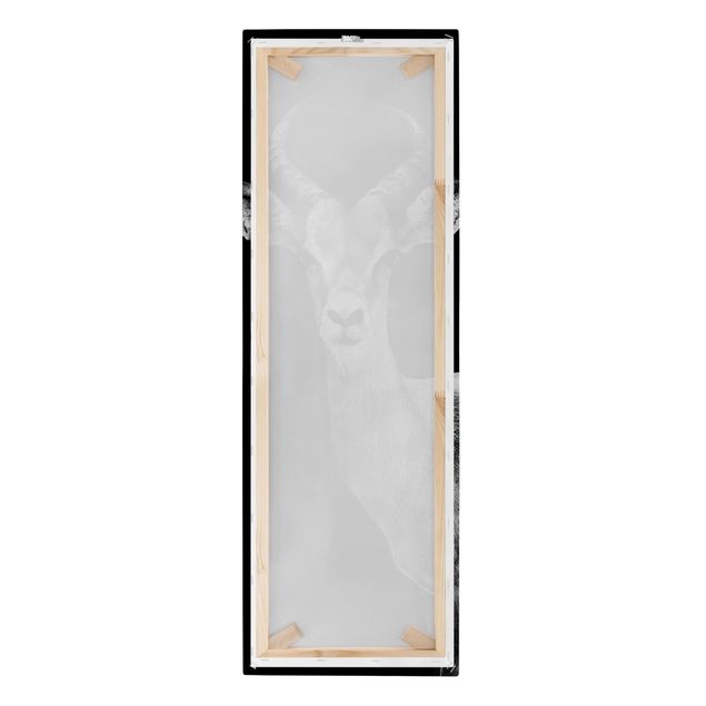 Philippe Hugonnard Bilder Impala Antilope schwarz-weiß