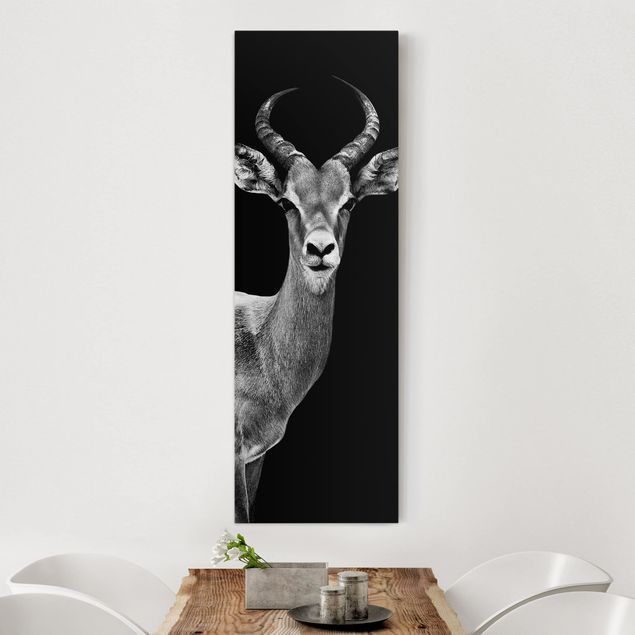 Leinwandbilder XXL Impala Antilope schwarz-weiß