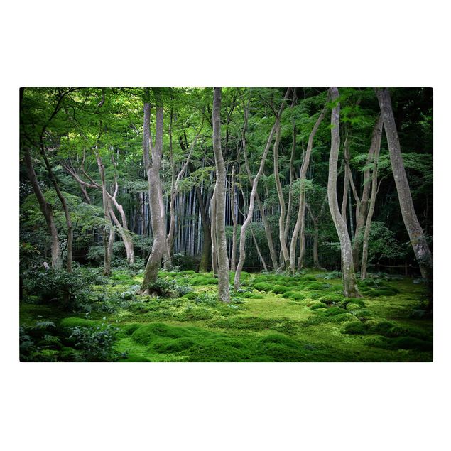 Schöne Wandbilder Japanischer Wald