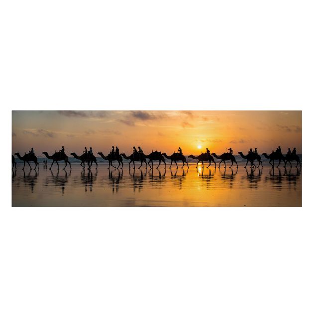 Schöne Wandbilder Kamele im Sonnenuntergang