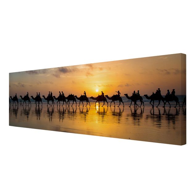 Bilder auf Leinwand Kamele im Sonnenuntergang