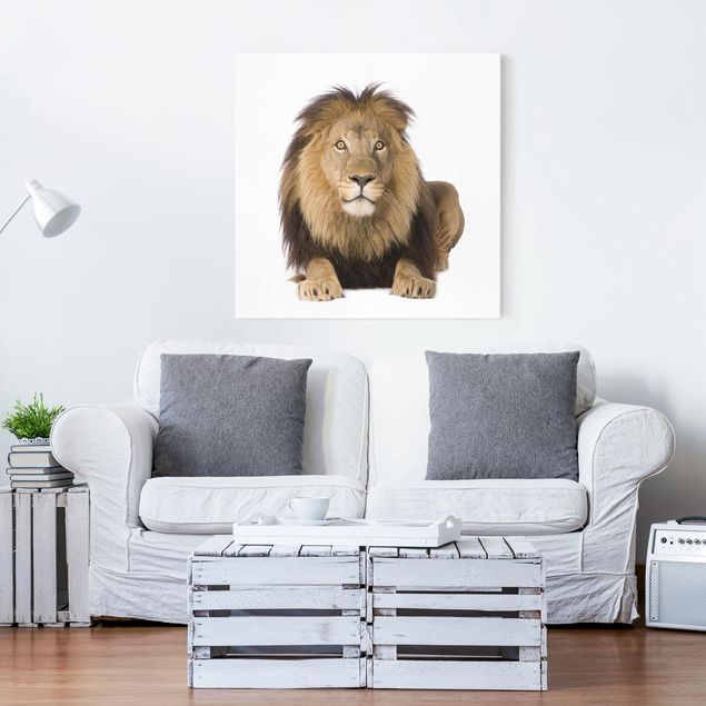 Leinwand Löwen König Löwe II
