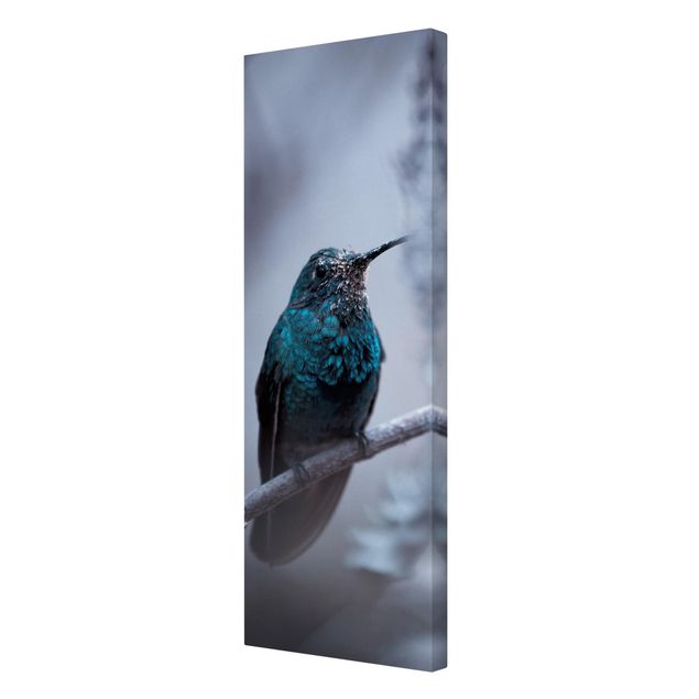 Bilder für die Wand Kolibri im Winter