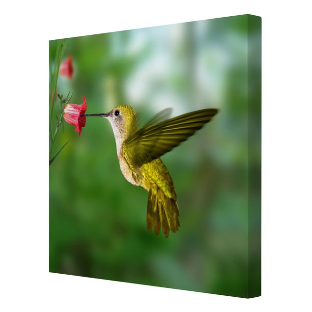 Bilder für die Wand Kolibri und Blüte