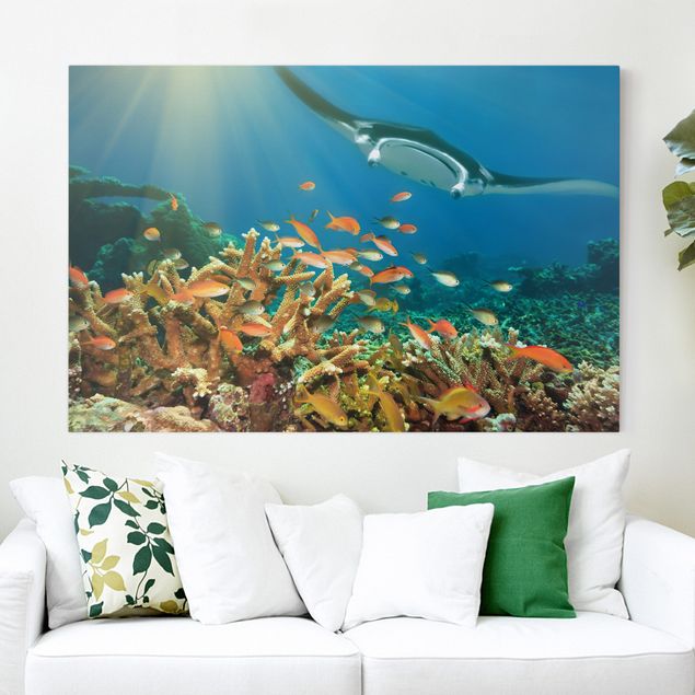 Wandbilder XXL Korallenriff