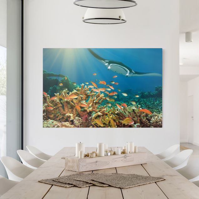 Wandbilder Fische Korallenriff