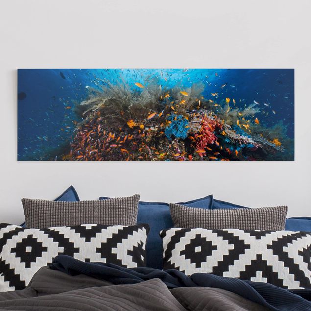 Wandbilder XXL Lagune mit Fischen