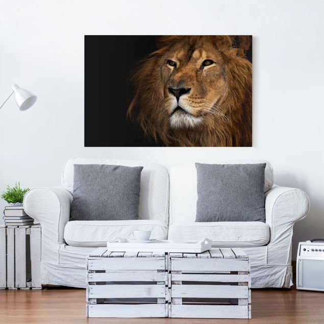 Leinwand Löwen Löwenblick