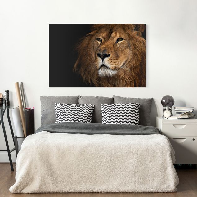 Wandbilder Tiere Löwenblick