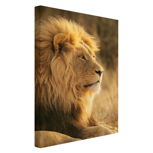 Tierbilder auf Leinwand Löwenkönig