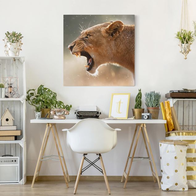 Wandbilder Löwe Löwin auf der Jagd