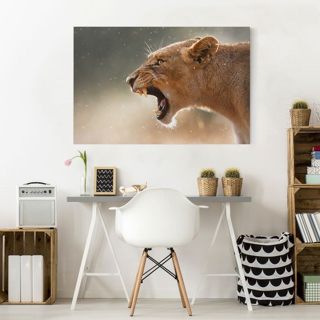 Wandbilder Afrika Löwin auf der Jagd