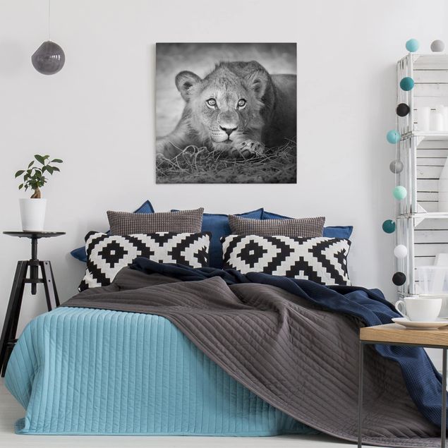 Wandbilder Tiere Lurking Lionbaby