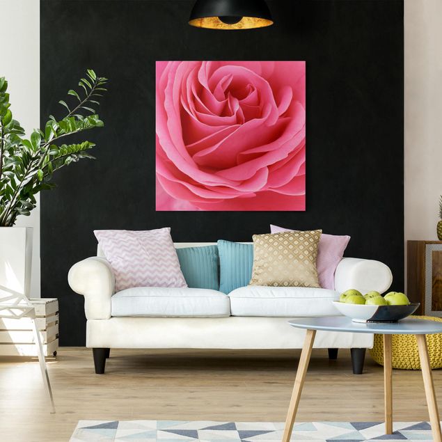 Leinwandbilder Rosen Lustful Pink Rose