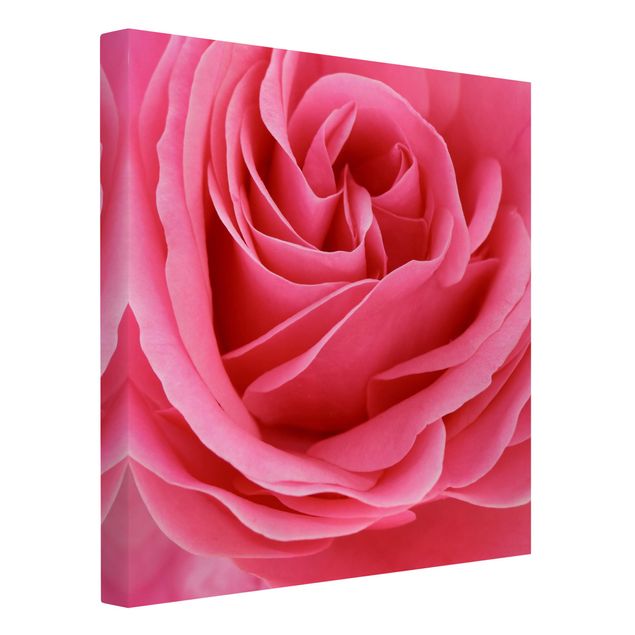 Wandbilder Wohnzimmer modern Lustful Pink Rose