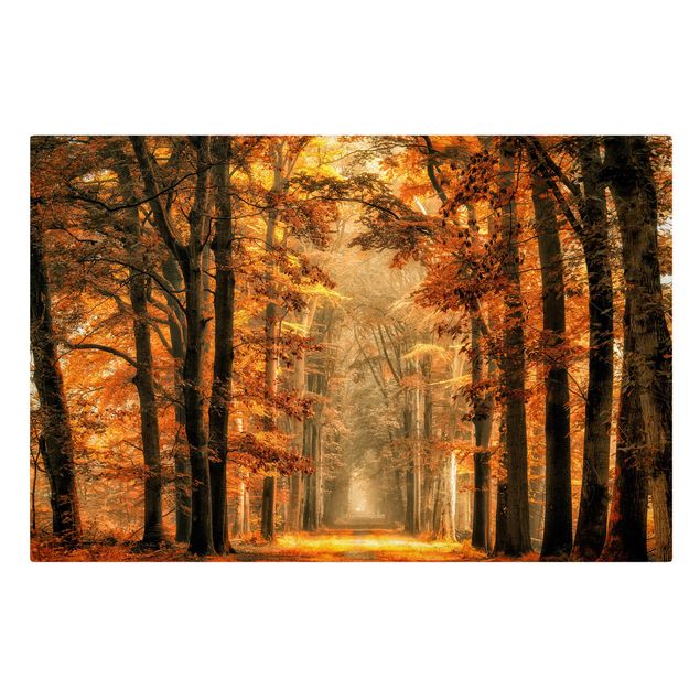 Schöne Wandbilder Märchenwald im Herbst