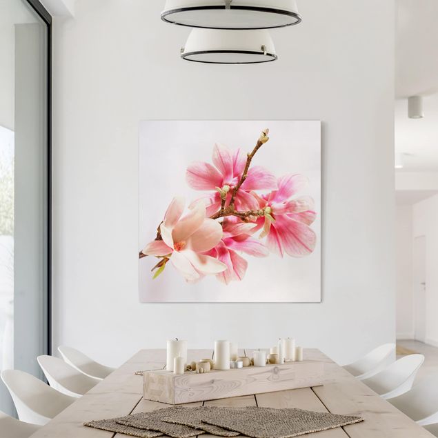 Wandbilder Blumen Magnolienblüten