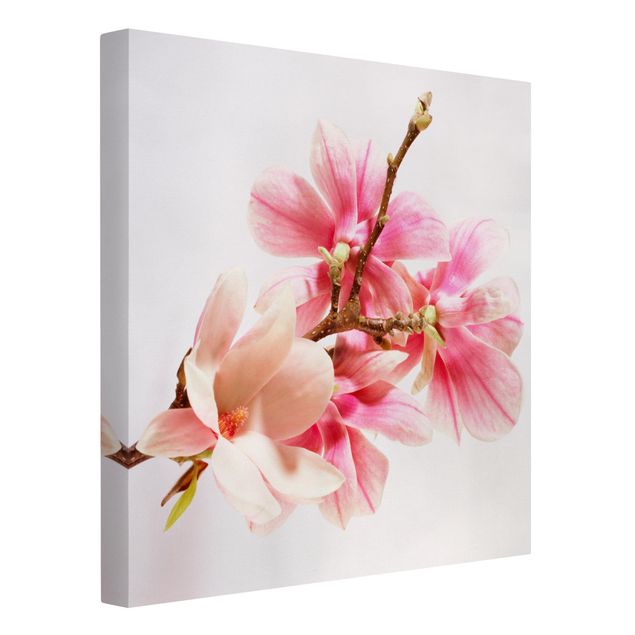 Bilder für die Wand Magnolienblüten