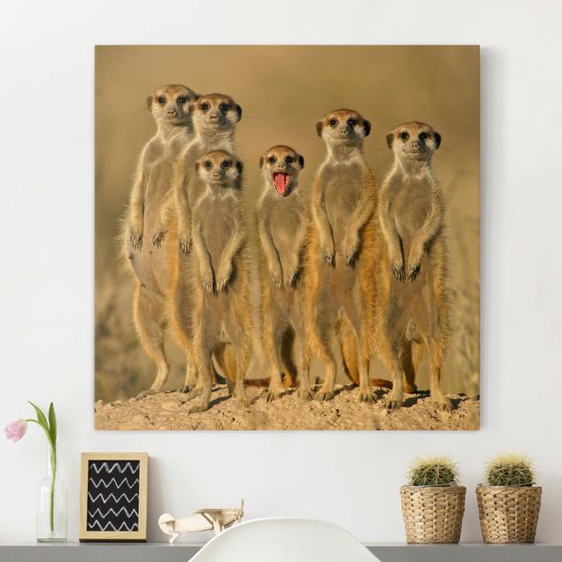 Wandbilder XXL Meerkat Family