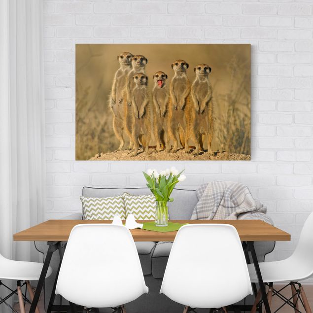 Wandbilder Tiere Meerkat Family