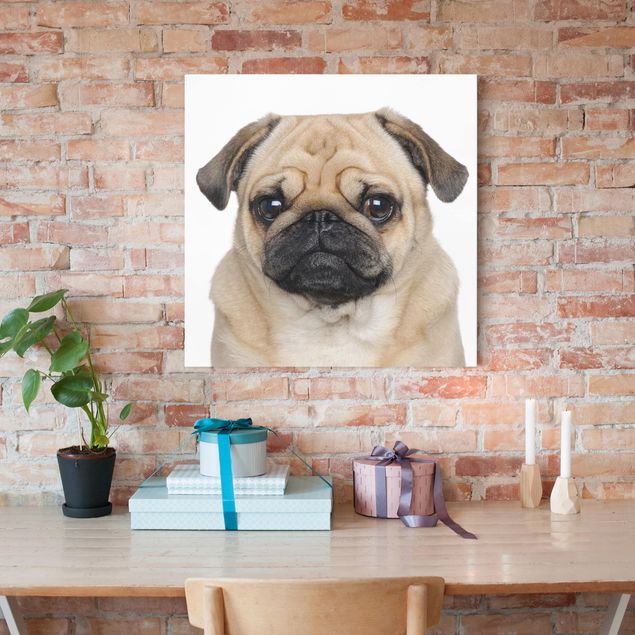 Wandbilder Hund Mopsportrait