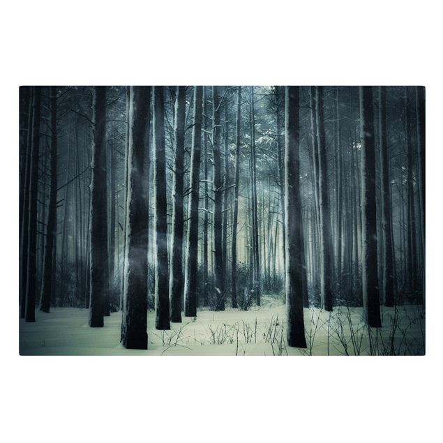 Bilder für die Wand Mystischer Winterwald