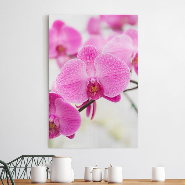Leinwandbilder XXL Nahaufnahme Orchidee
