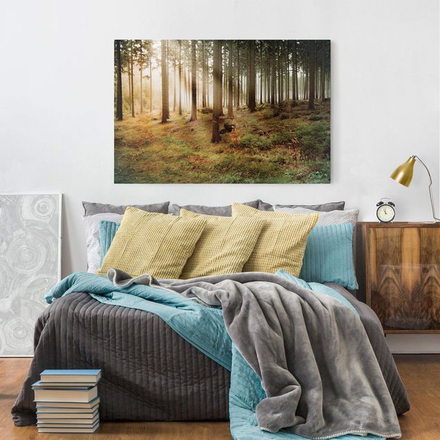 Wandbilder Baum Morning Forest