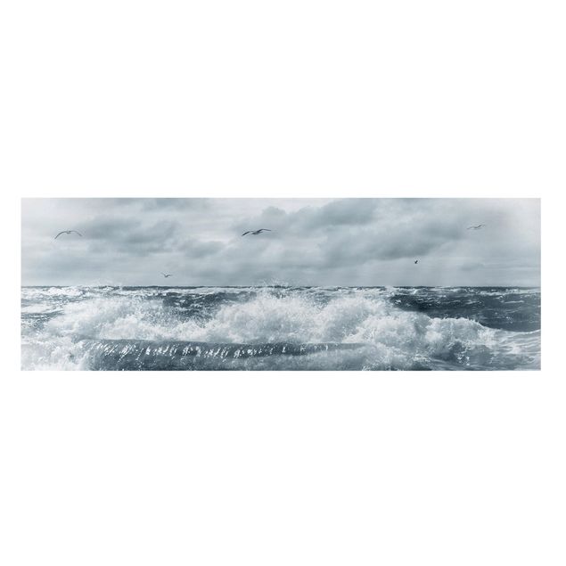 Leinwandbilder Schwarz-Weiß Lebendige Nordsee