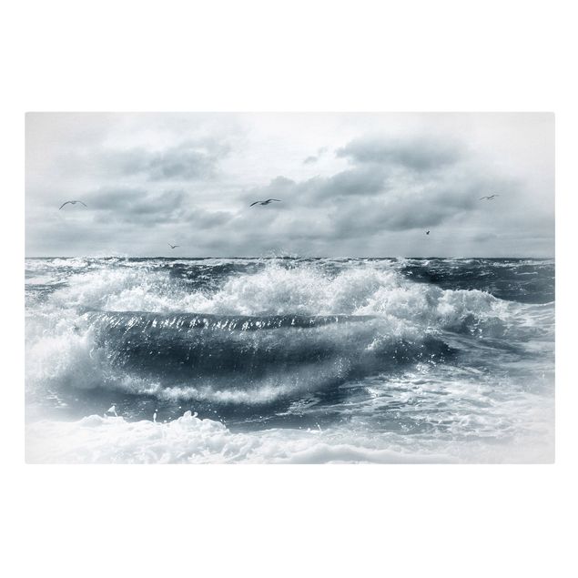 Leinwandbilder Schwarz-Weiß Lebendige Nordsee